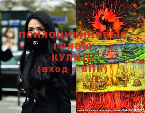 первитин Алексин
