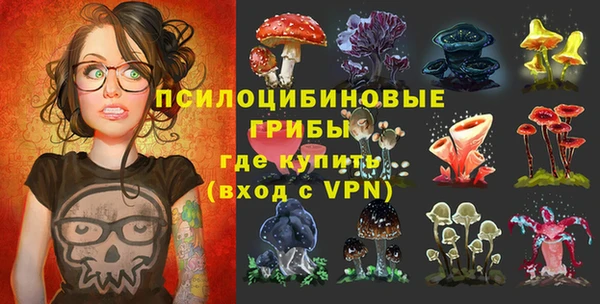 бутират Алзамай