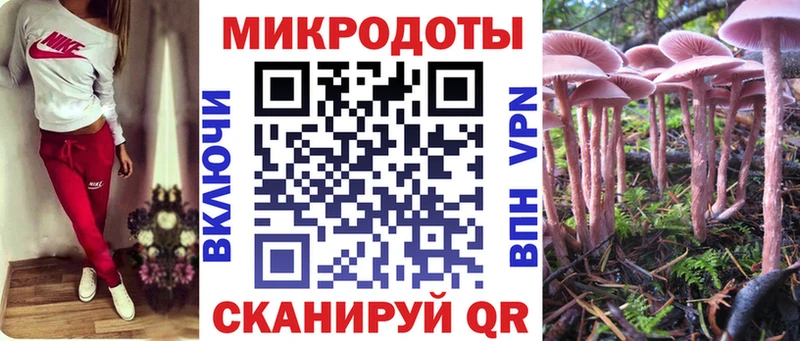 купить наркоту  Алапаевск  Псилоцибиновые грибы Psilocybe 